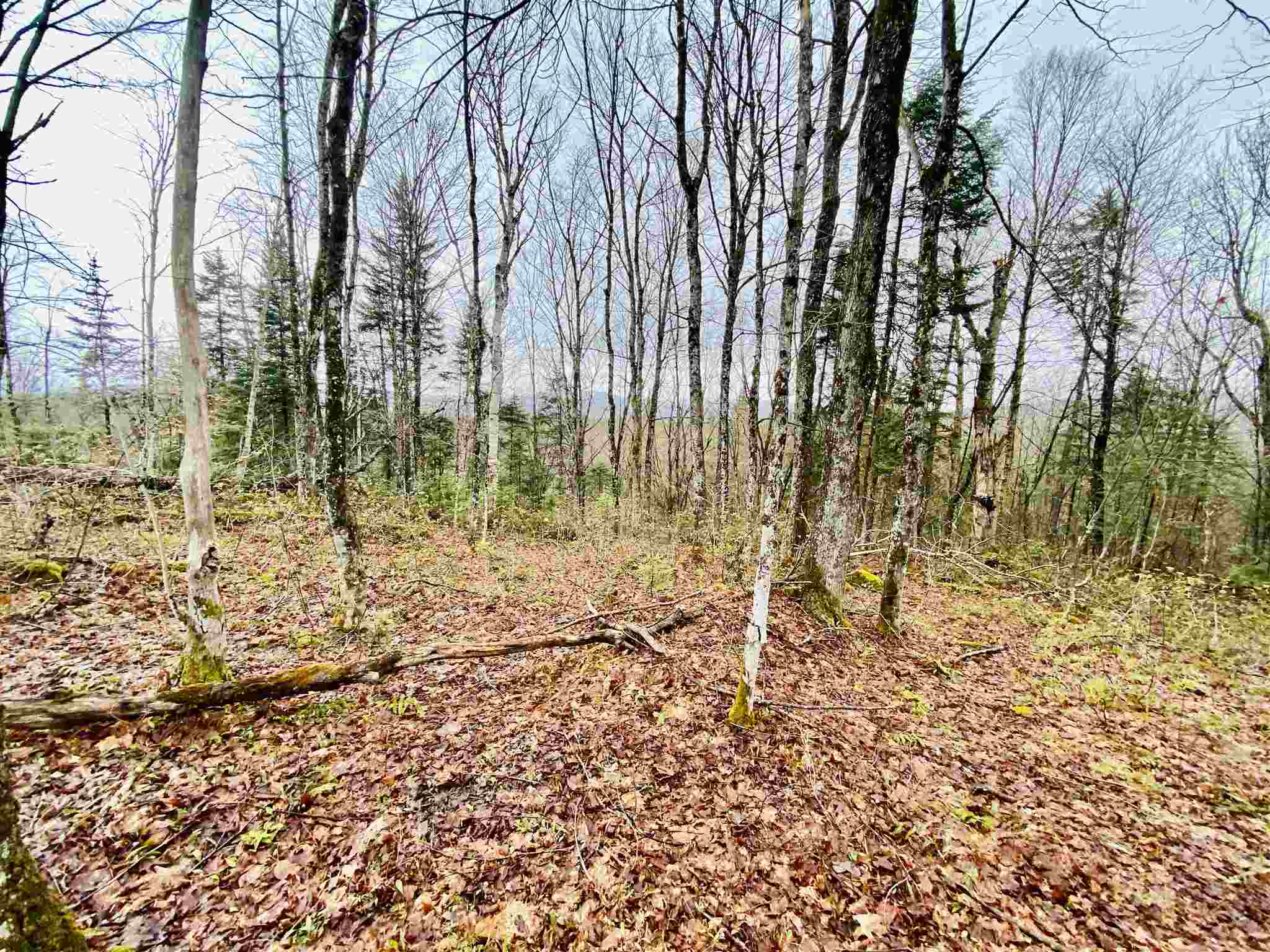 26 Lakeview Ests Road Pittsburg, NH 03592 - Photo 1 of 5 Gallery Image 1