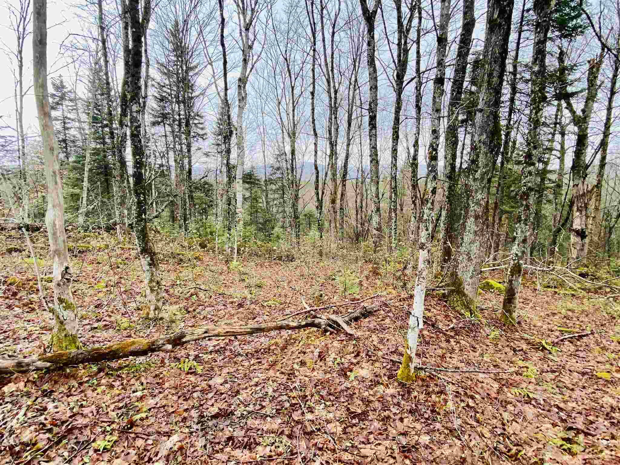 26 Lakeview Ests Road Pittsburg, NH 03592 - Photo 4 of 5 Gallery Image 4