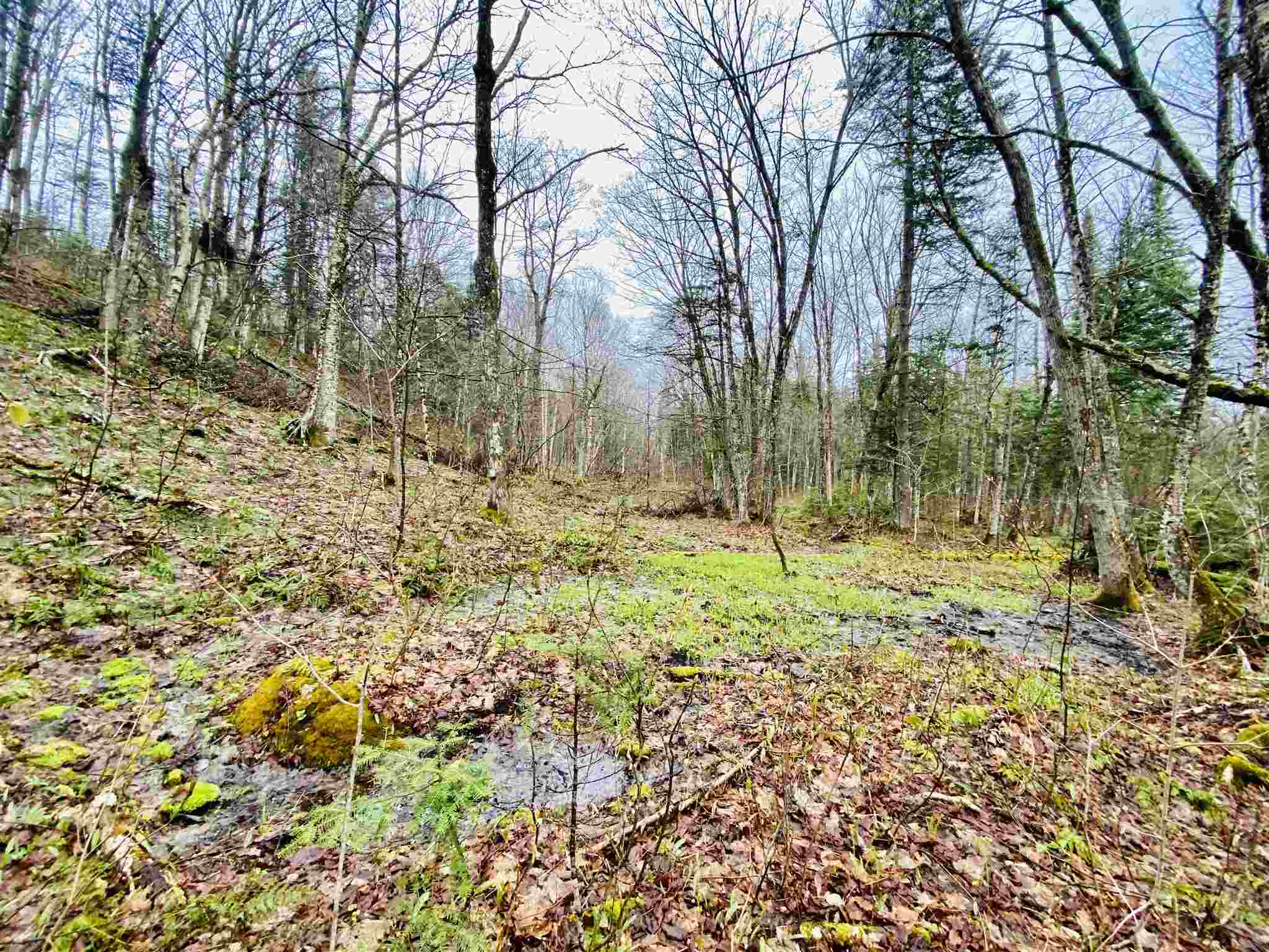 26 Lakeview Ests Road Pittsburg, NH 03592 - Photo 5 of 5 Gallery Image 5