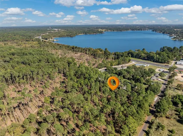 a view of a sky from a yard