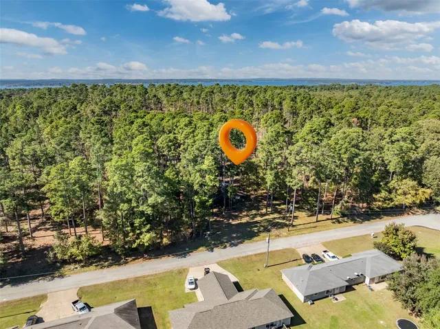 a view of a tree with a park