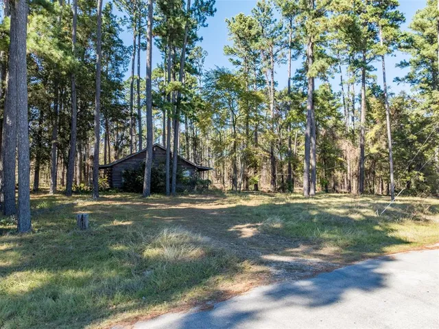 a view of house with a yard chairs and large tree