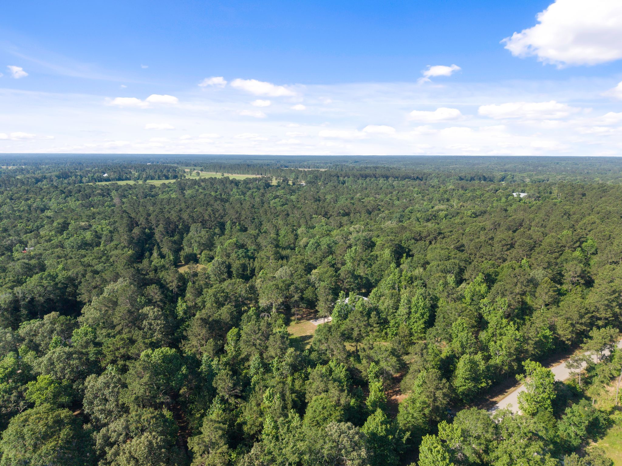 200 Spring Ridge Road Coldspring, TX 77331 - Photo 14 of 18 a view of a city with lush green forest