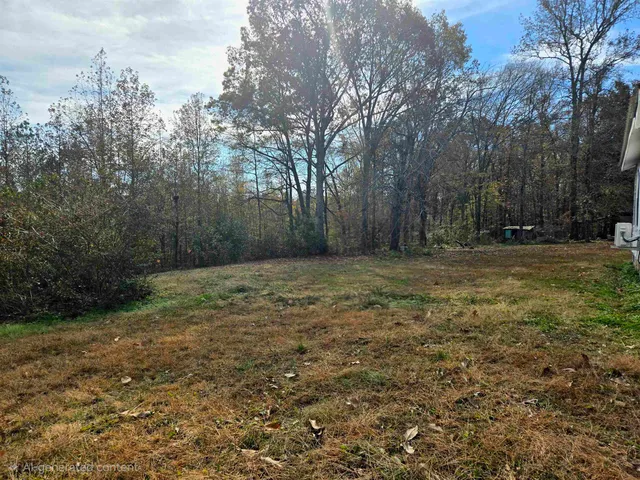a backyard of a house with lots of green space