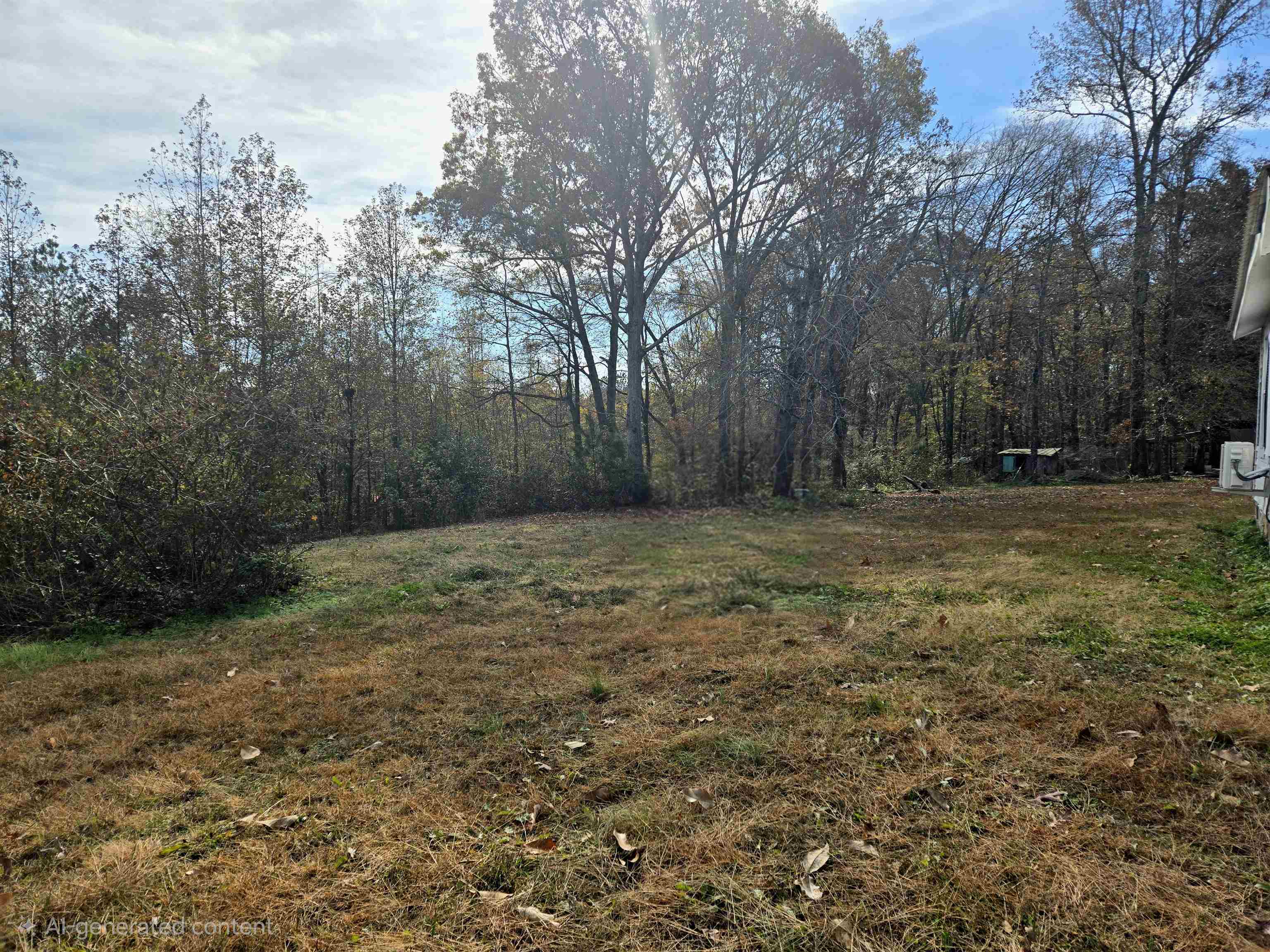 1907 Elmer Cox Road Bethel Springs, TN 38315 - Photo 15 of 17 a backyard of a house with lots of green space