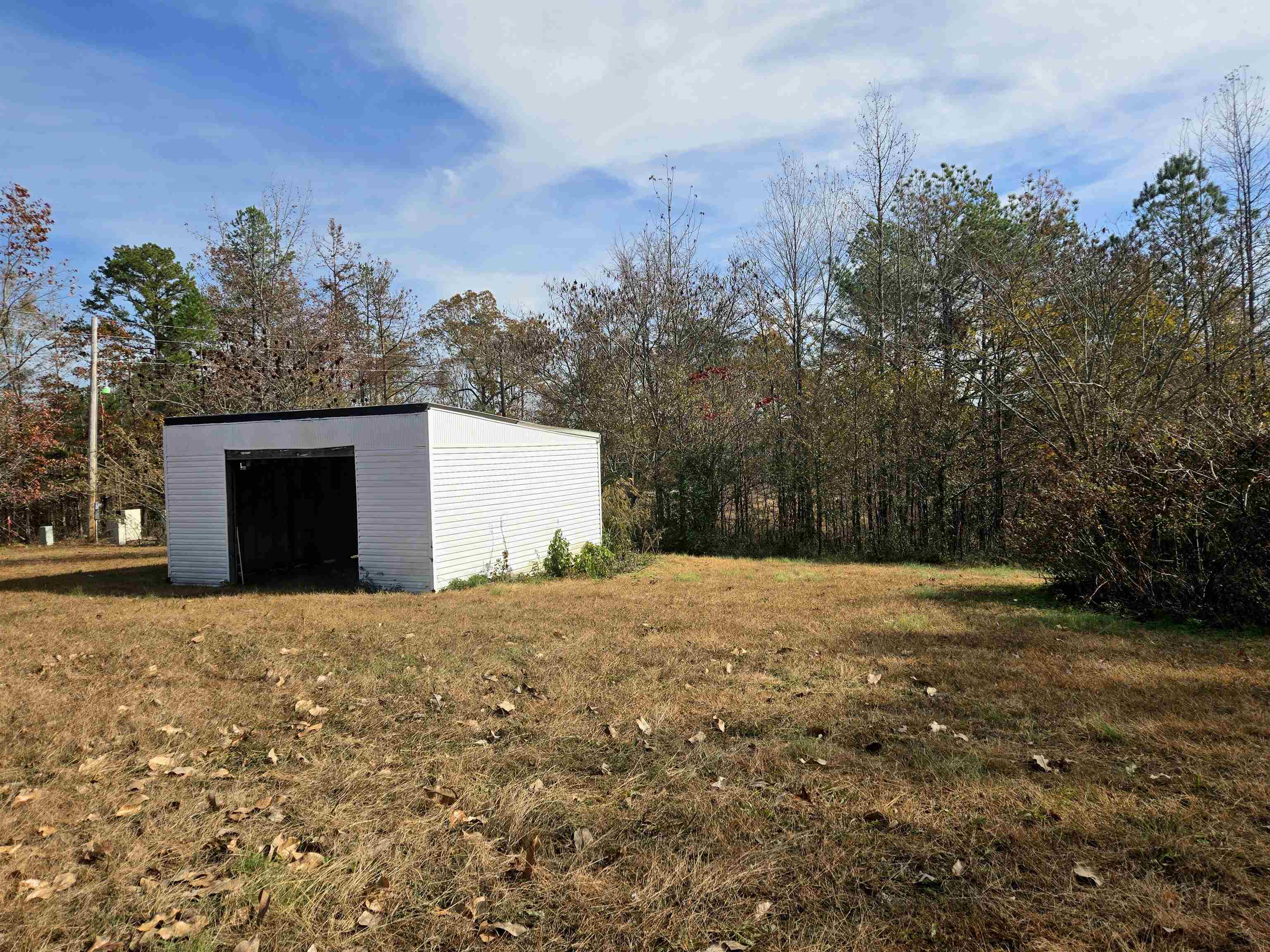1907 Elmer Cox Road Bethel Springs, TN 38315 - Photo 17 of 17 a backyard of a house with large trees