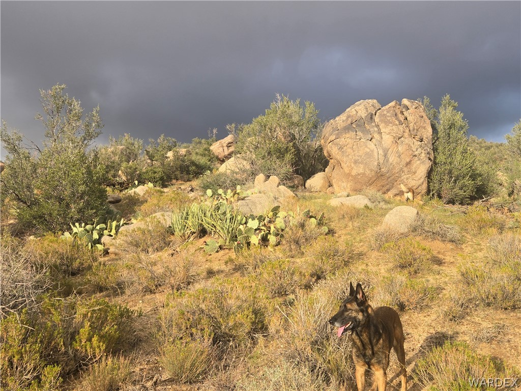 One Spirit Trail Kingman, AZ 86401 - Photo 11 of 38 View of nature