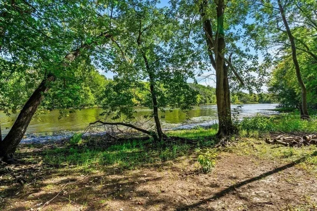 a view of a garden with a tree