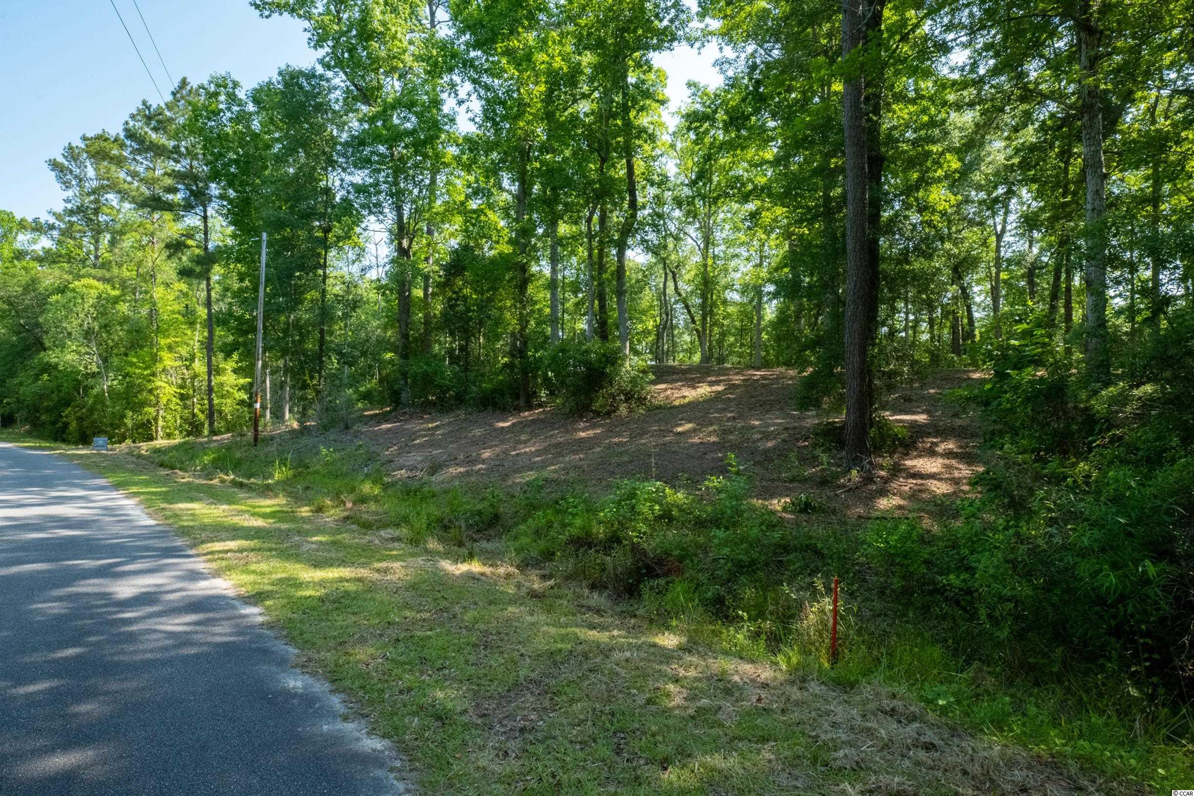 Tbd Francis Marion Drive Georgetown, SC 29440 - Photo 4 of 28