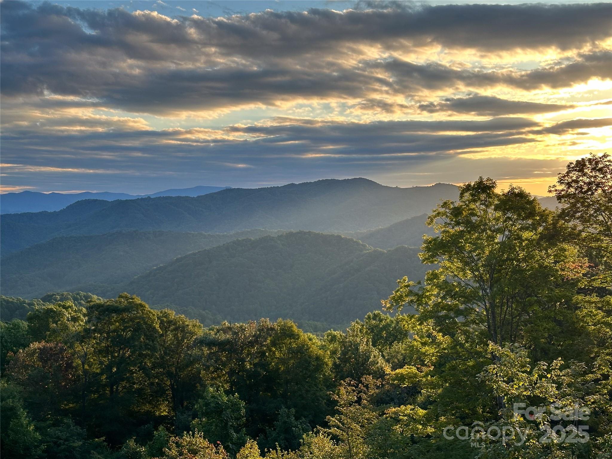 Tbd Nicholas Knoll Road Bakersville, NC 28705 - Photo 14 of 28