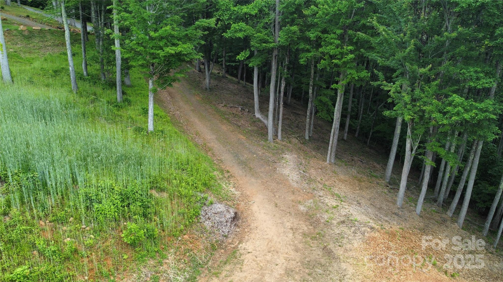 Tbd Nicholas Knoll Road Bakersville, NC 28705 - Photo 22 of 28