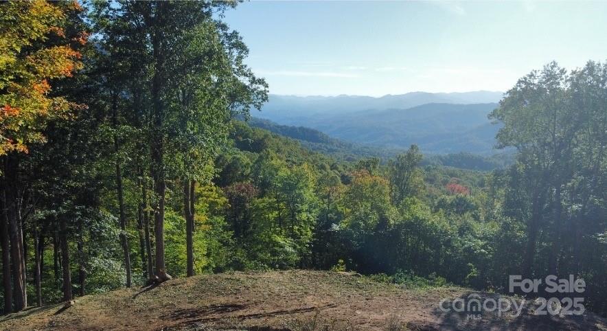 Tbd Nicholas Knoll Road Bakersville, NC 28705 - Photo 25 of 28