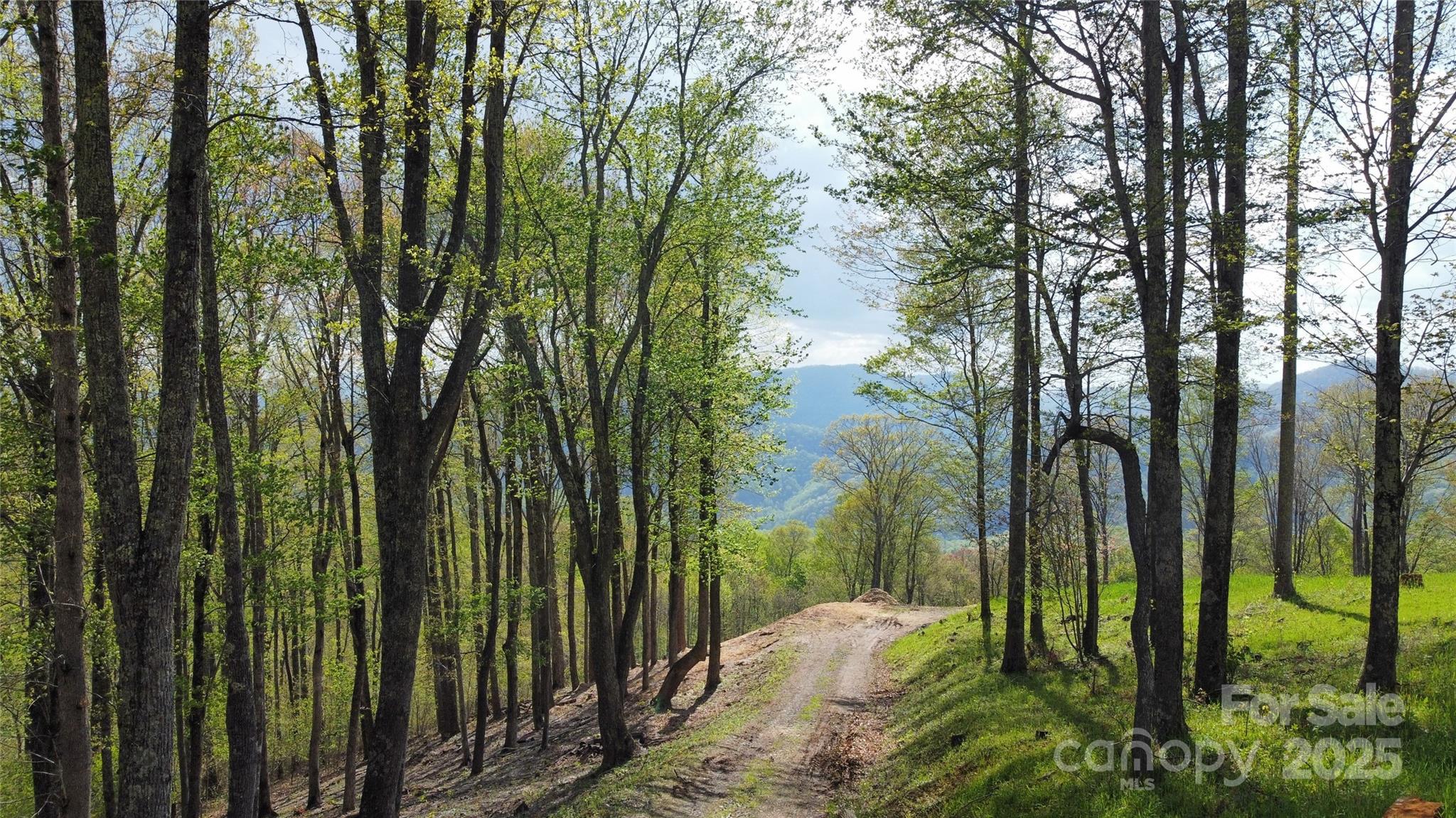 Tbd Nicholas Knoll Road Bakersville, NC 28705 - Photo 26 of 28