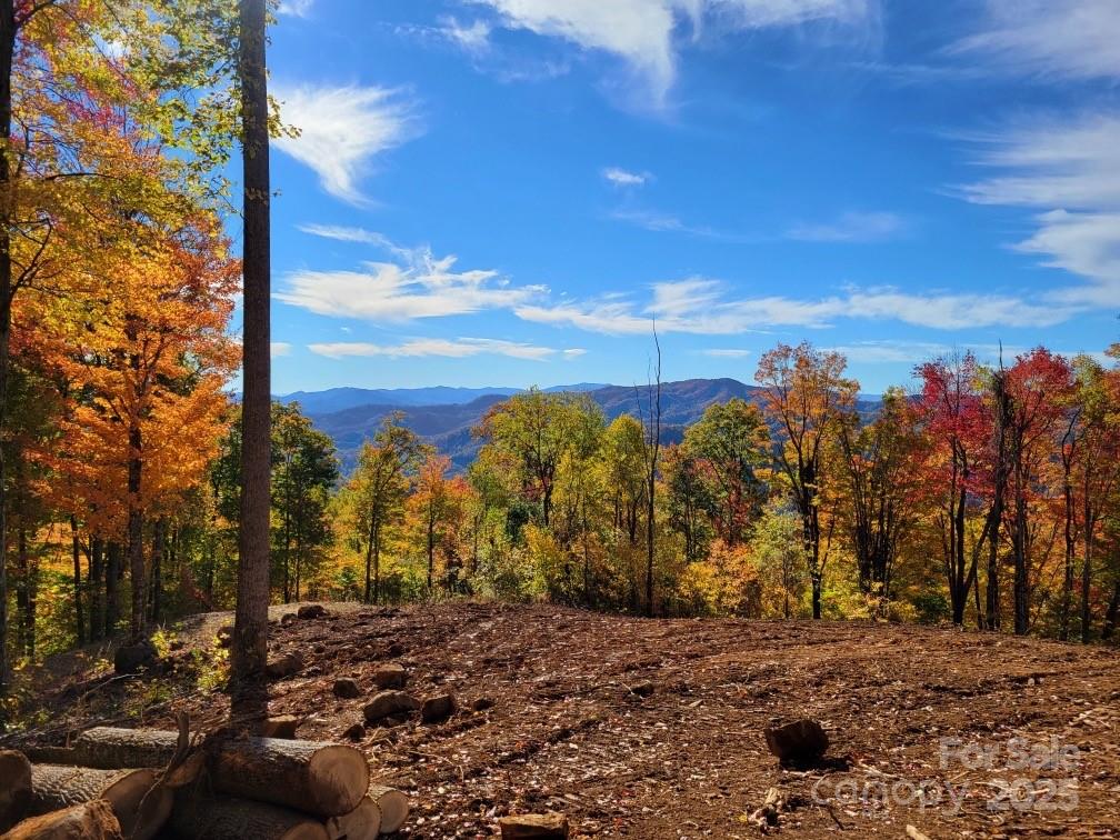 Tbd Nicholas Knoll Road Bakersville, NC 28705 - Photo 27 of 28