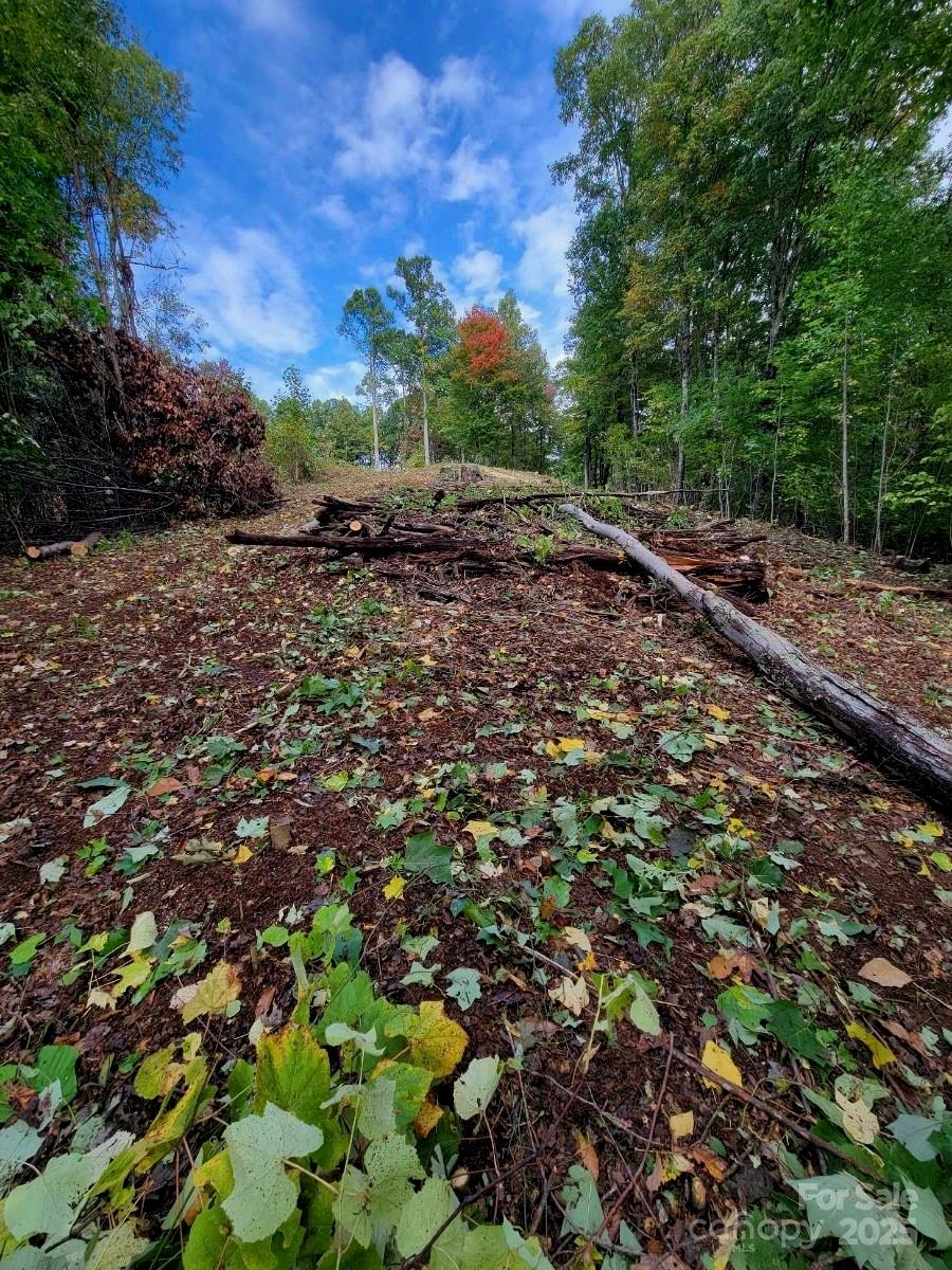 Tbd Nicholas Knoll Road Bakersville, NC 28705 - Photo 28 of 28