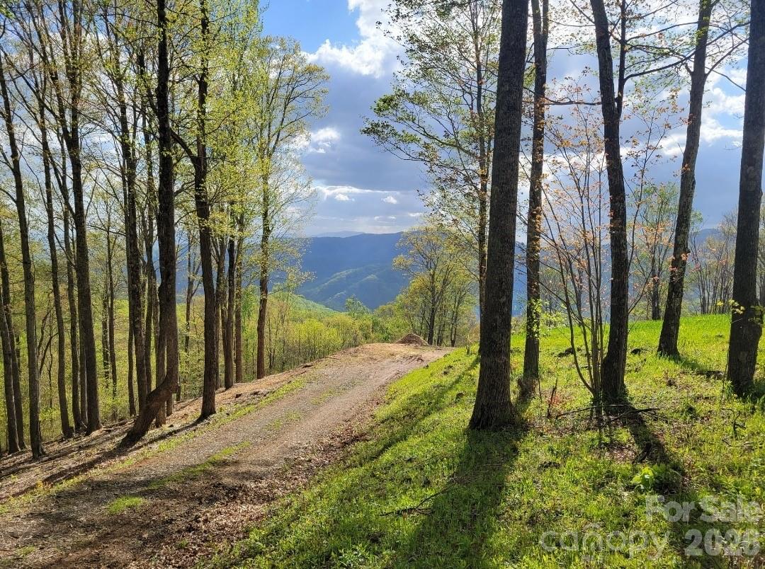 Tbd Nicholas Knoll Road Bakersville, NC 28705 - Photo 5 of 28