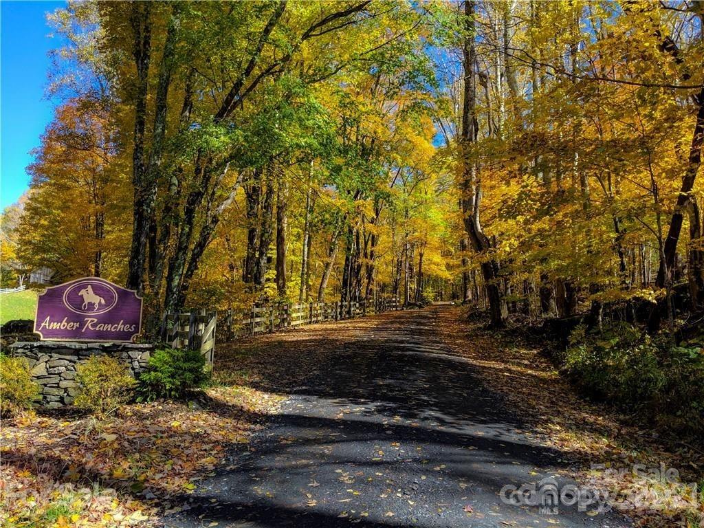 Tbd Nicholas Knoll Road Bakersville, NC 28705 - Photo 7 of 28