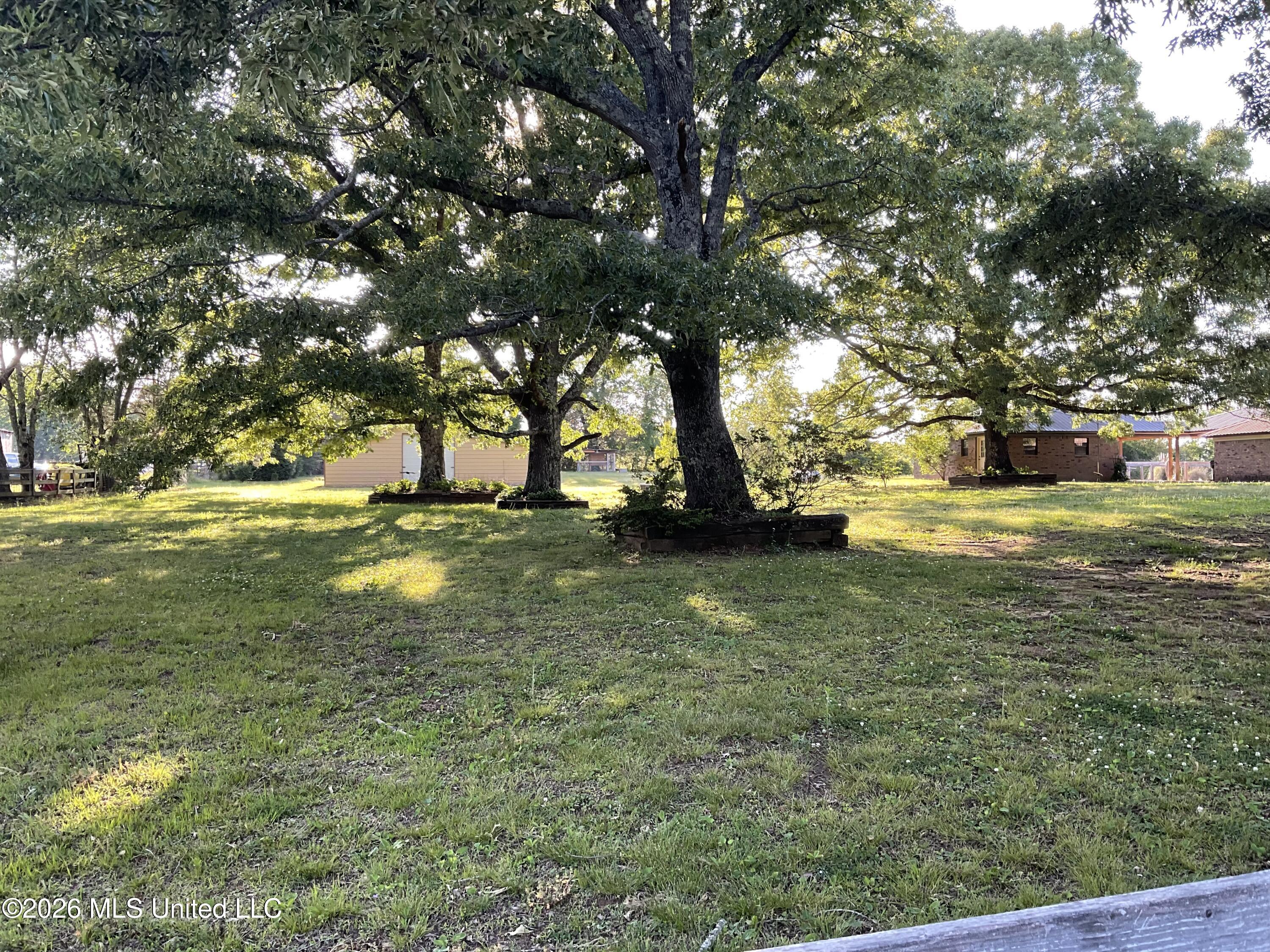 615 Early Grove Road Lamar, MS 38642 - Photo 40 of 61 2497D343-17B1-4AC7-AEC6-CB7DB4C78828