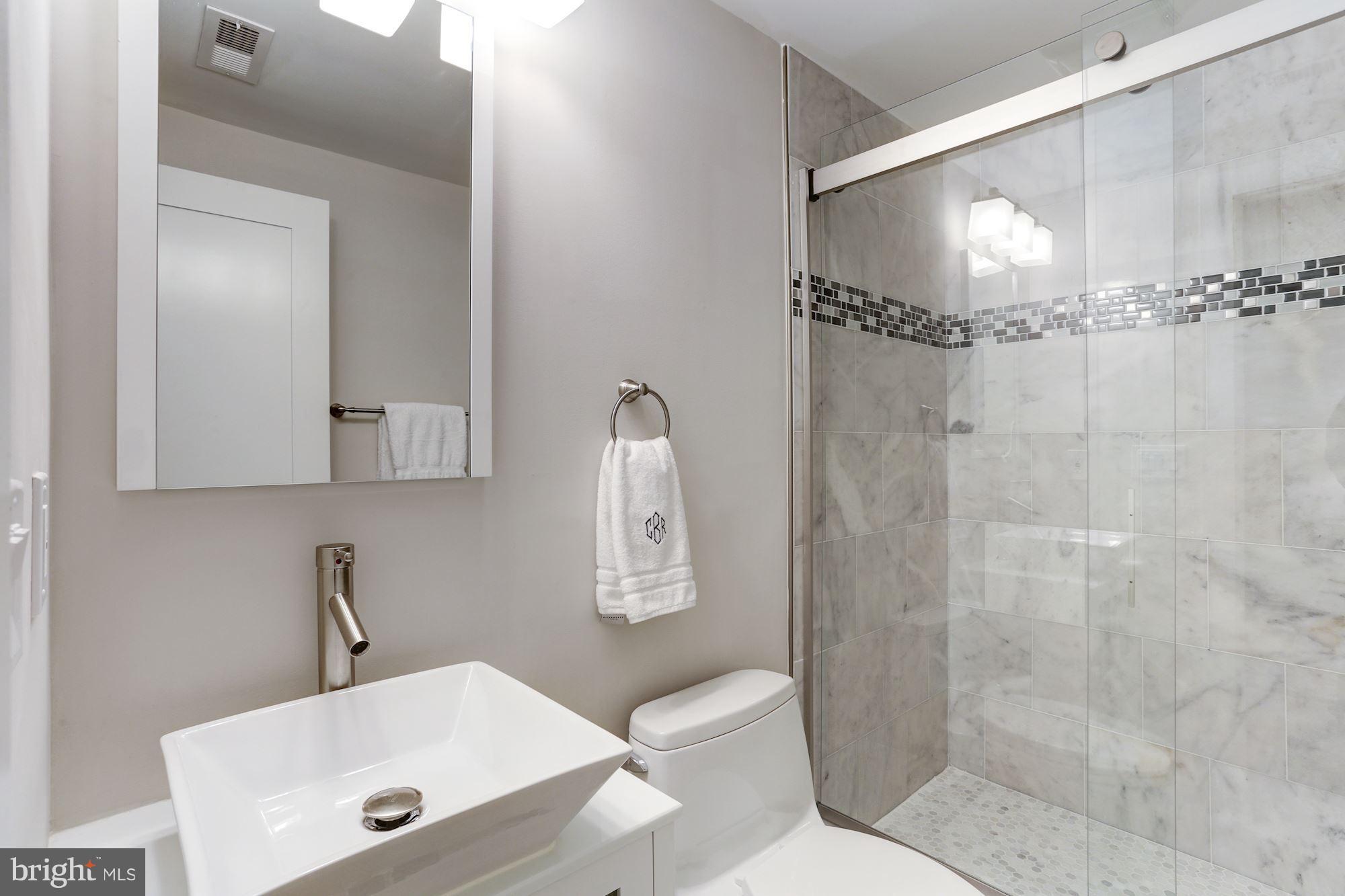 1337 Rittenhouse Street Northwest Washington, DC 20011 - Photo 18 of 22 Lower Level Bathroom