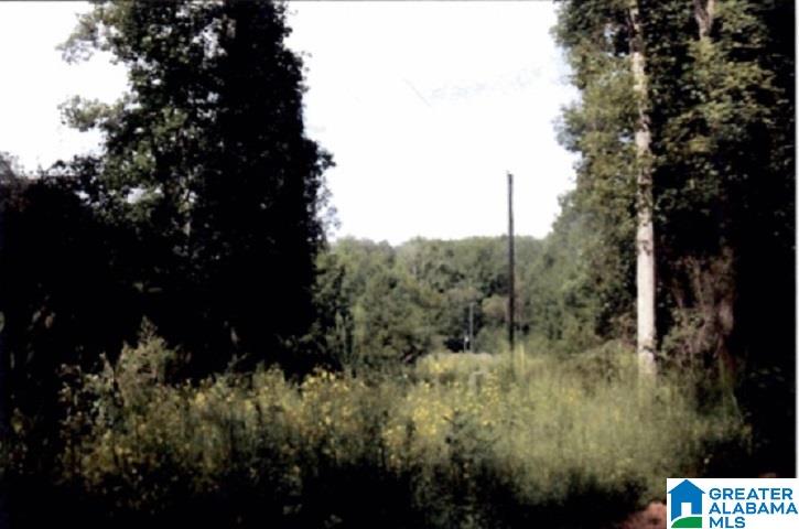 0 County Road 83, Unit 2 Heflin, AL 36264 - Photo 6 of 8