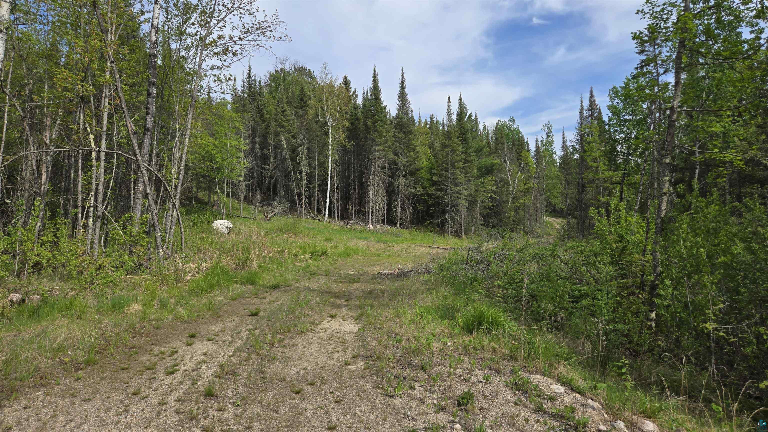 7316 Crane Lake Road Crane Lake, MN 55725 - Photo 20 of 21