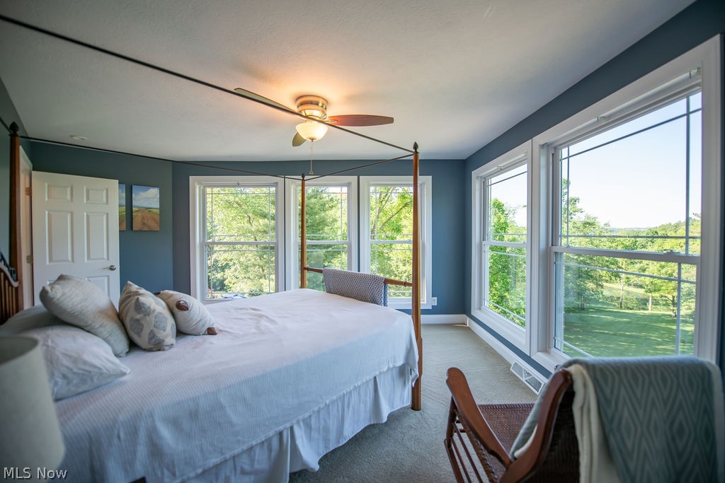 5234 Ribbon Road Southwest Bowerston, OH 44695 - Photo 36 of 50 This spacious bedroom features panoramic views.