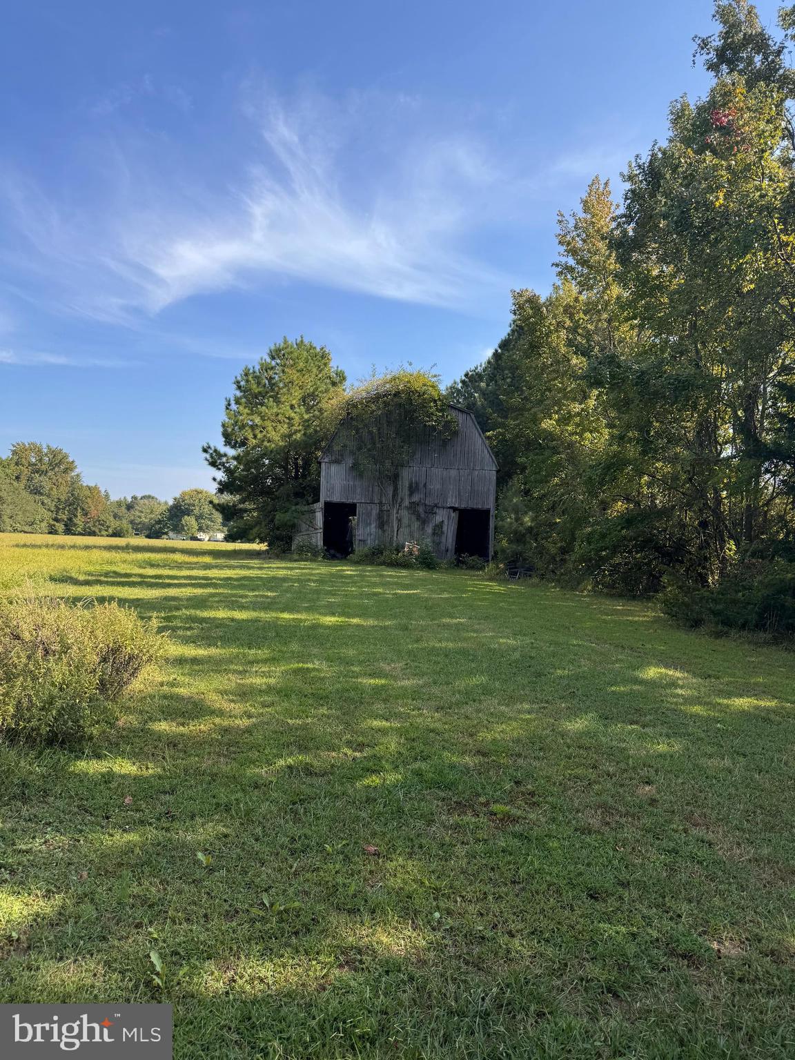 20920 Colton Point Road Coltons Point, MD 20626 - Photo 2 of 4 a view of a big yard with an outdoor space