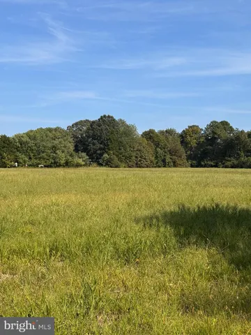 a view of a lake with a mountain in the background