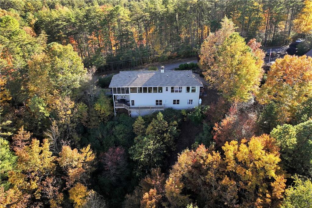 962 Woodbrier Sautee Nacoochee, GA 30571 - Photo 9 of 52 a view of a house with a yard and large trees