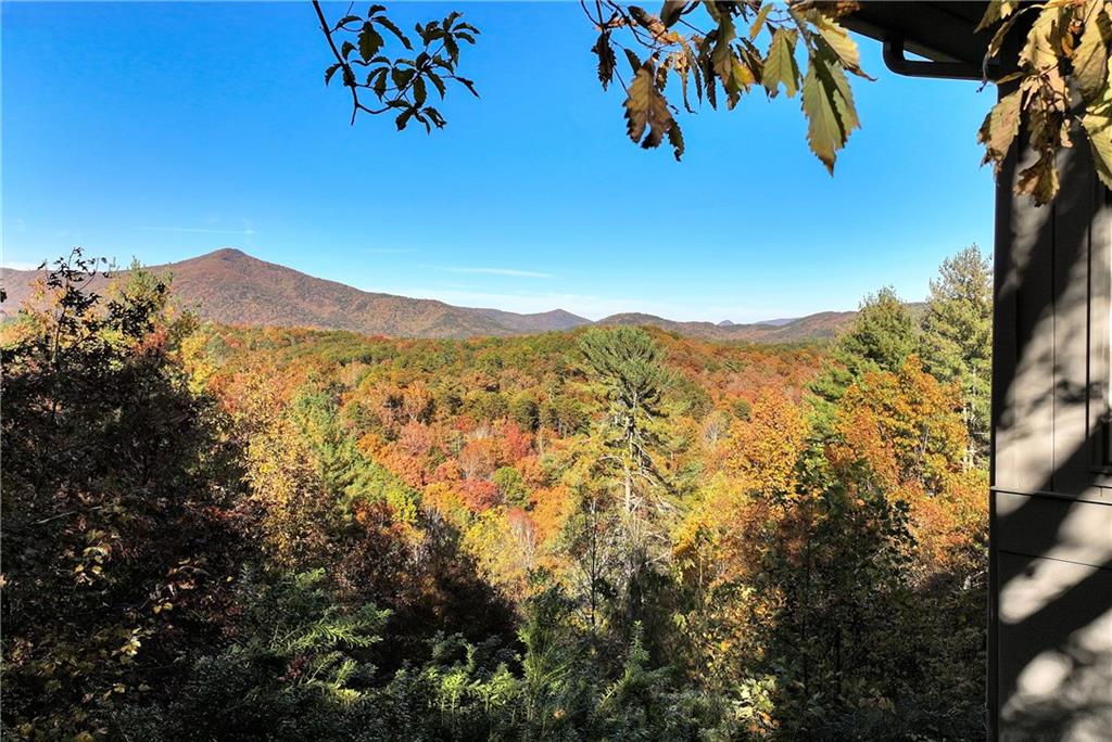 962 Woodbrier Sautee Nacoochee, GA 30571 - Photo 10 of 52 a view of a city
