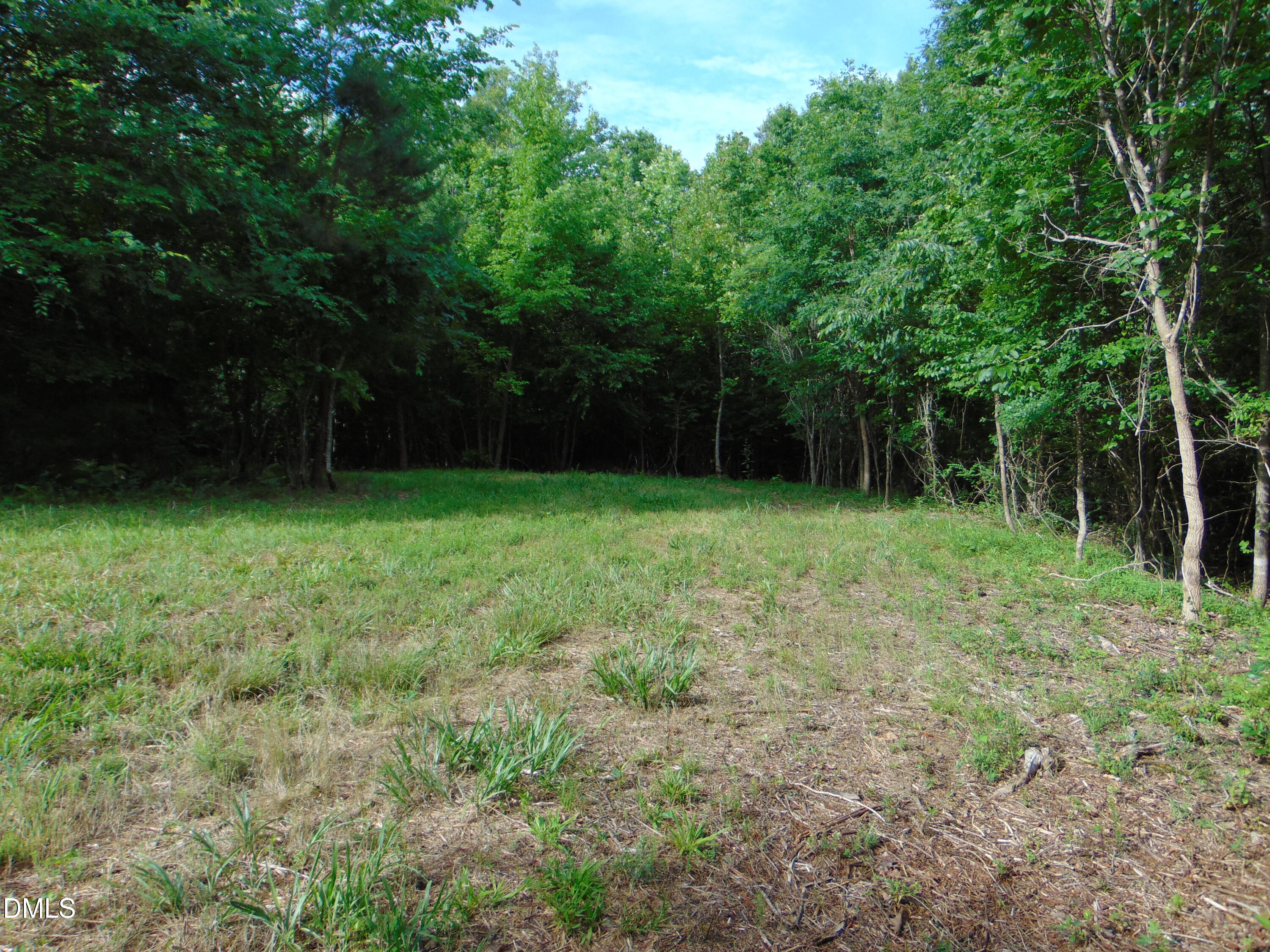 0 Walters Mill Road Providence, NC 27315 - Photo 18 of 22 DSC01575