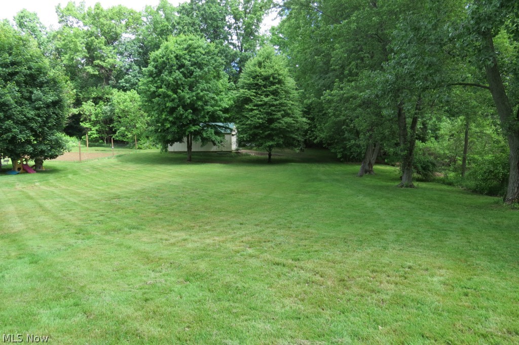 2953 Hayne Road Akron, OH 44312 - Photo 24 of 24 Mature trees with large open space for family get togethers or for the kids to play