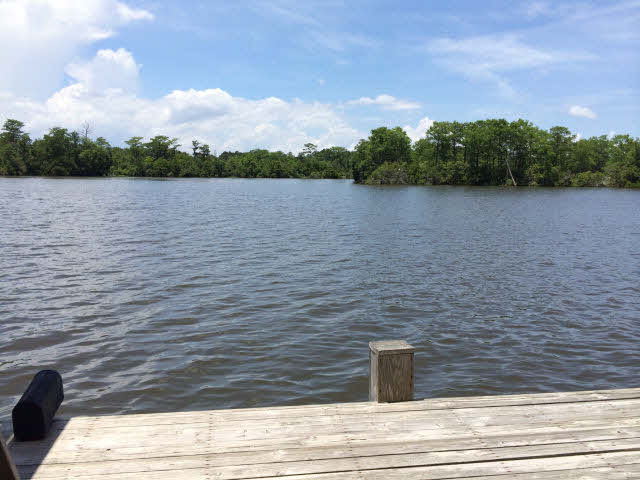 14259 Riverside Drive Foley, AL 36535 - Photo 2 of 25 Fish river View