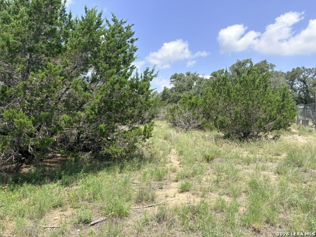 128 Coneflower Drive Spring Branch, TX 78070 - Photo 8 of 27