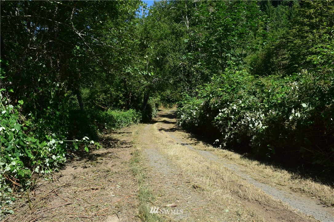 1258 Silverbrook Road Randle, WA 98377 - Photo 22 of 31 Gallery Image 22