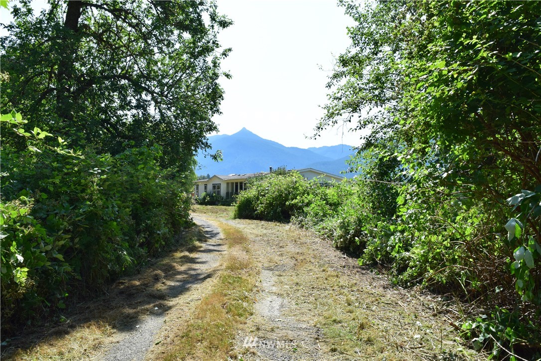 1258 Silverbrook Road Randle, WA 98377 - Photo 23 of 31 Gallery Image 23