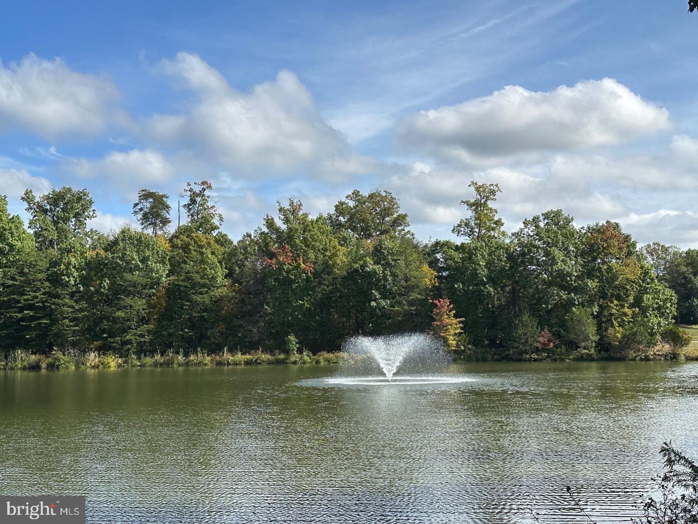 1701 Lake Shore Crest Drive, Unit 11 Reston, VA 20190 - Photo 19 of 33 a view of a water fountain