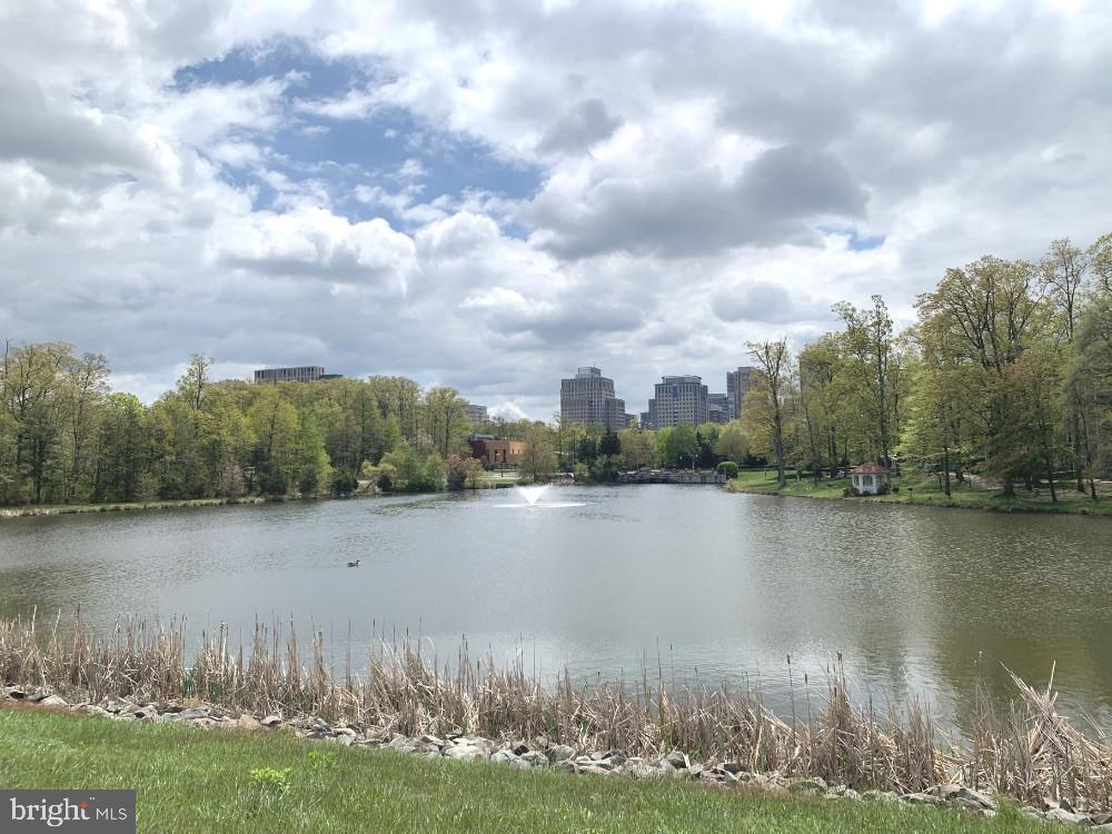 1701 Lake Shore Crest Drive, Unit 11 Reston, VA 20190 - Photo 20 of 33 a view of a lake