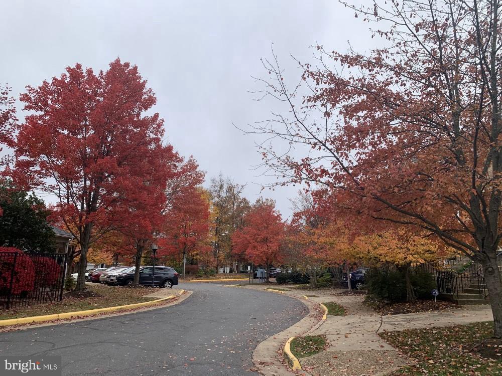1701 Lake Shore Crest Drive, Unit 11 Reston, VA 20190 - Photo 24 of 33 a view of road with trees