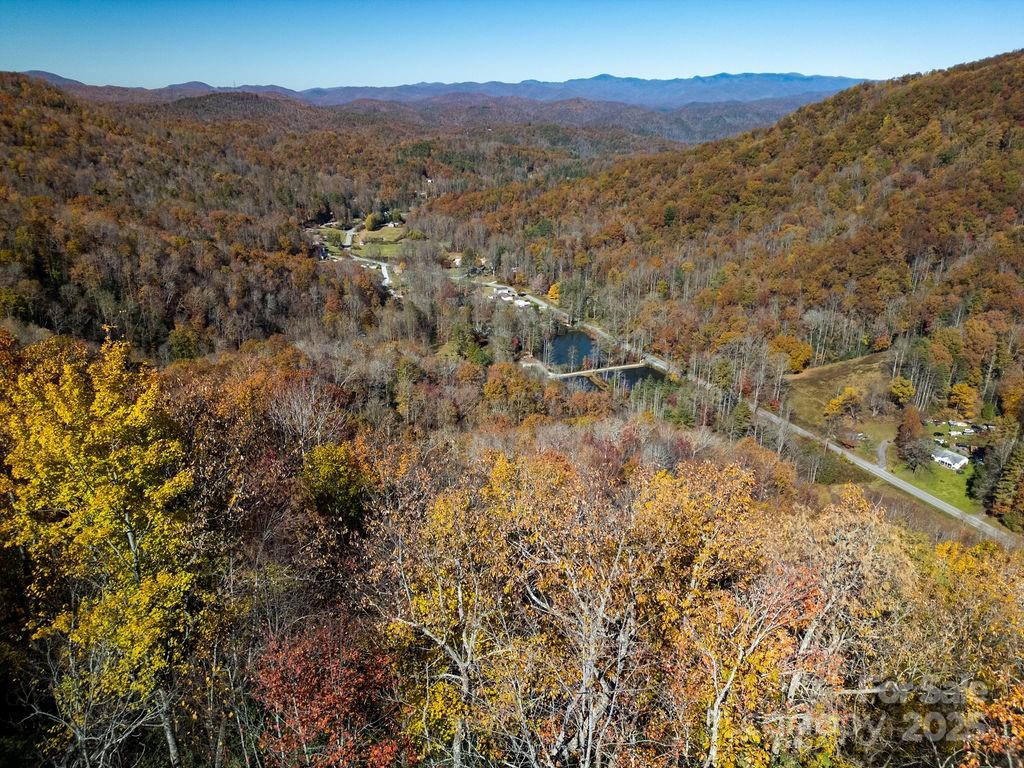 85 Ridge Road Rosman, NC 28772 - Photo 41 of 48 a view of a forest with mountains in the background