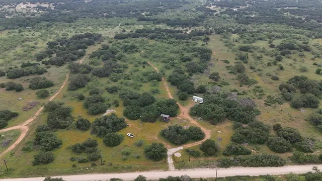 a view of a forest with a yard