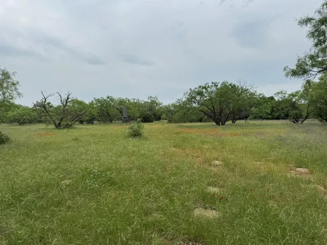 a view of a grassy field with trees in the background