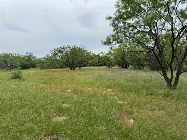 a view of a field with an trees