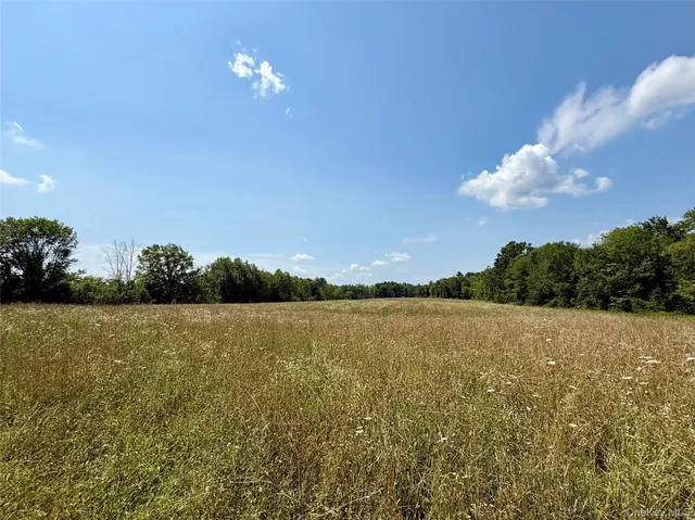 a view of an ocean and a mountain