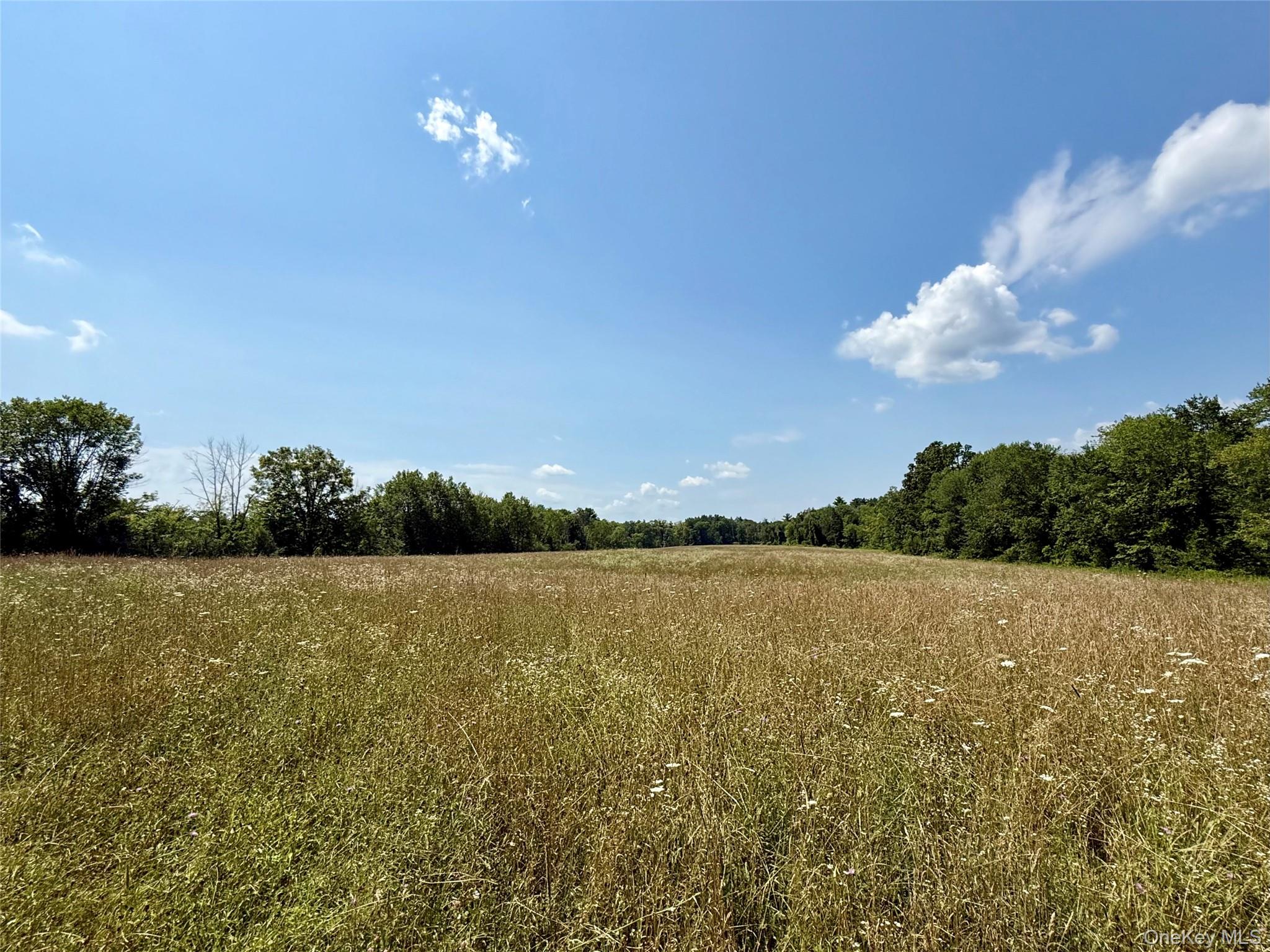 a view of an ocean and a mountain