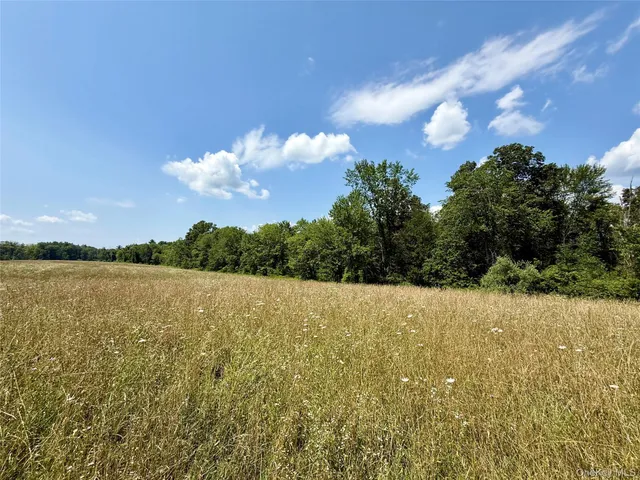 a view of a back yard of a building