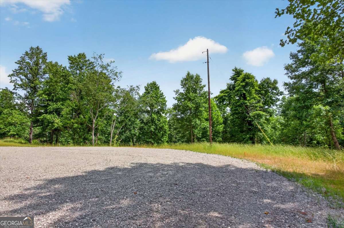 0 Conns Creek Road, Unit 2 Ball Ground, GA 30107 - Photo 23 of 57
