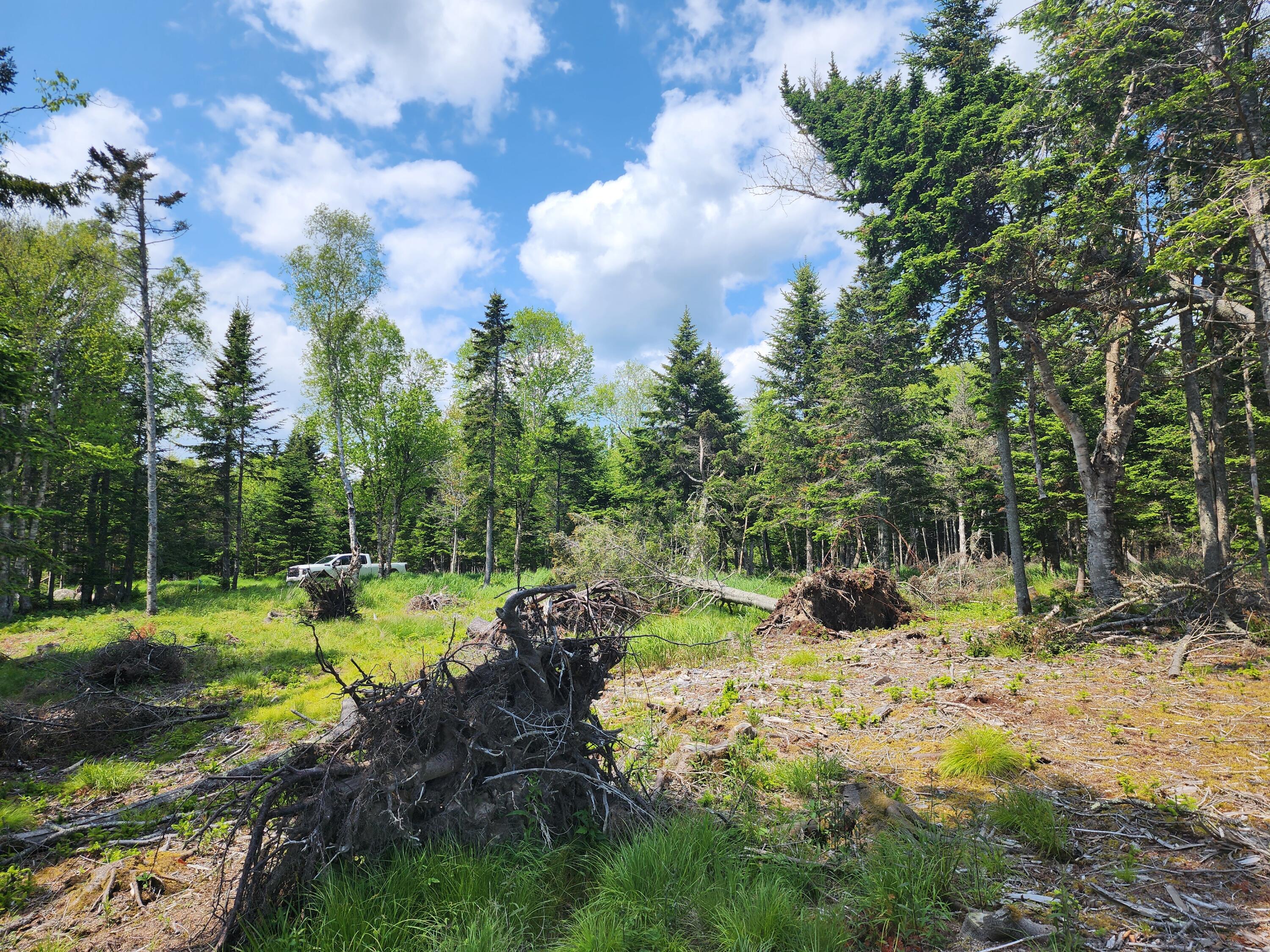 25 Chambers Point Road Roque Bluffs, ME 04654 - Photo 8 of 12 20250611_140206