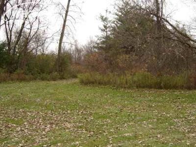 0 Courtney Road Montrose, MI 48457 - Photo 1 of 1 20308601.JPG