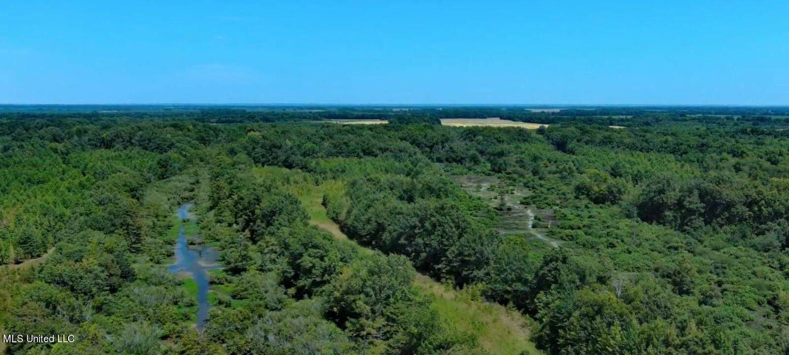 Cotton Loop Sledge, MS 38670 - Photo 1 of 6 Picture of the Property Looking East